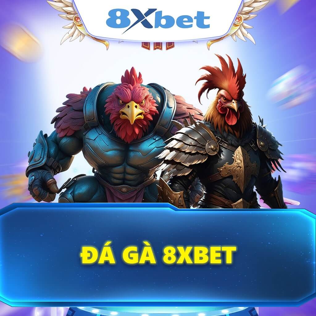 Đá Gà 8XBET - Trải Nghiệm Thế Giới Chọi Gà Online Đỉnh Cao