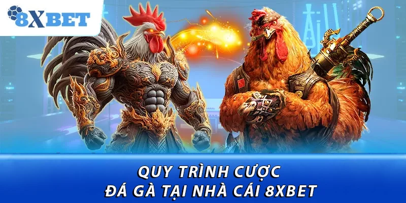 Quy trình cược chọi gà tại nhà cái 8XBET